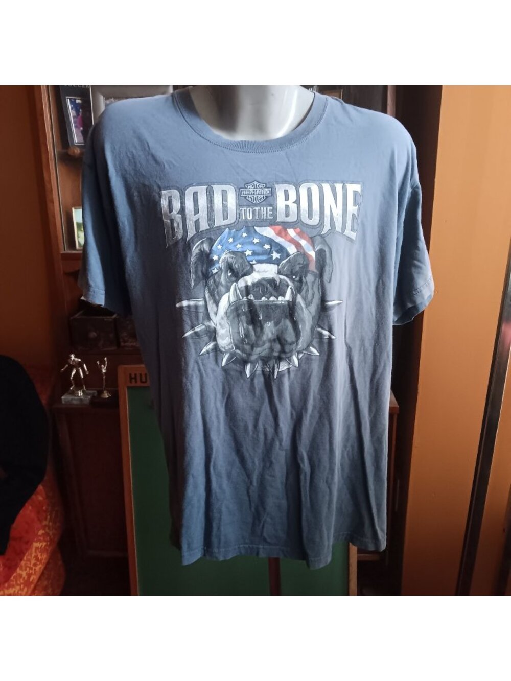 Harley-Davidson Bad To The Bone Graphic T-Shirt Grey XL Dealer Greeley CO